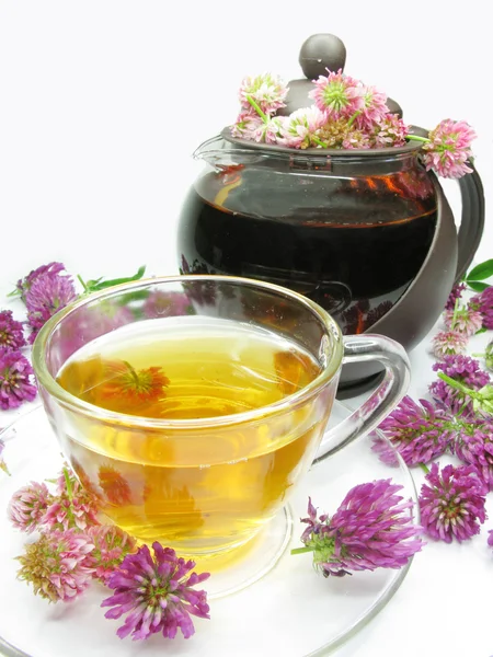 Herbal tea with clover flowers — Stock Photo, Image