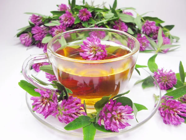 Herbal tea with clover extract — Stock Photo, Image