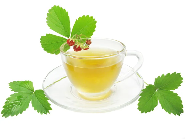 Herbal tea with wild strawberry — Stock Photo, Image