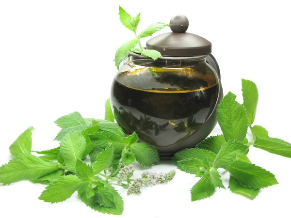 Herbal tea in tea-pot among mint — Stock Photo, Image