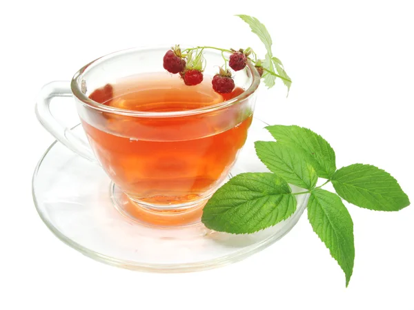 Tè rosso con lampone — Foto Stock