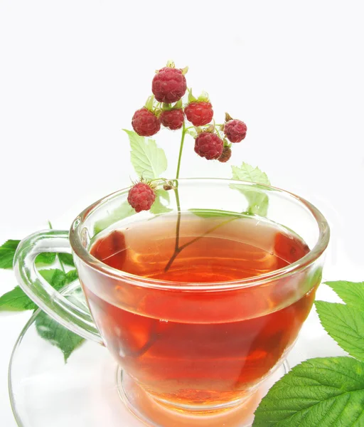 Tè al lampone alla frutta — Foto Stock