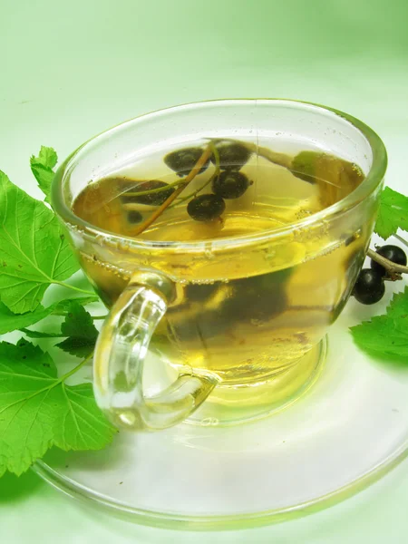 Фруктовый чай с экстрактом черной смородины — стоковое фото