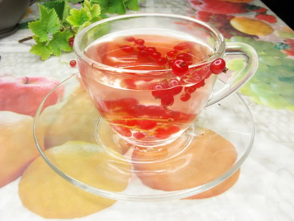 Extract van fruit thee met rode bes — Stockfoto