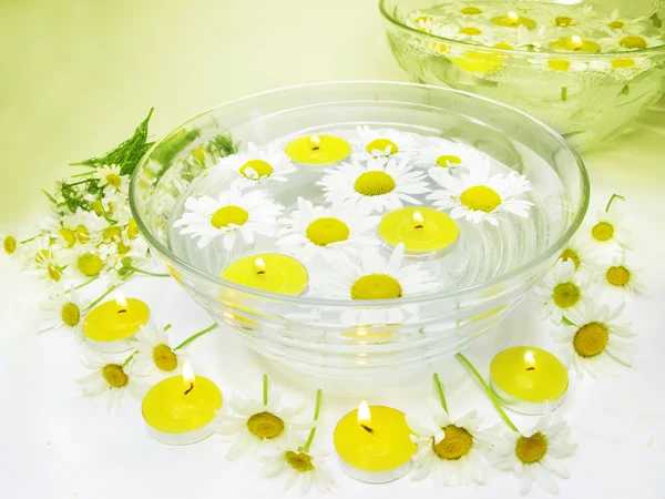 Velas de spa flores de margarita —  Fotos de Stock