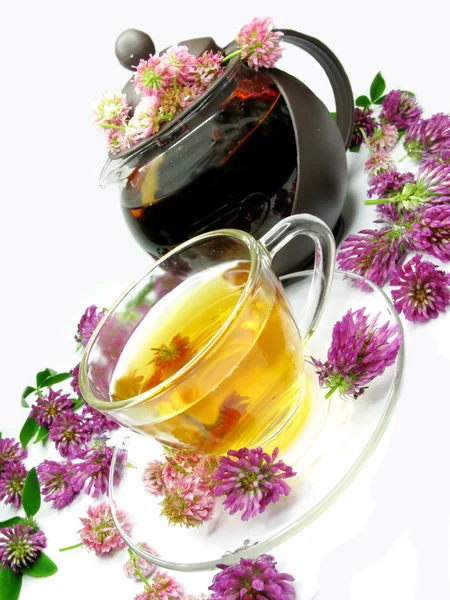 Травяной чай с цветами клевера — стоковое фото