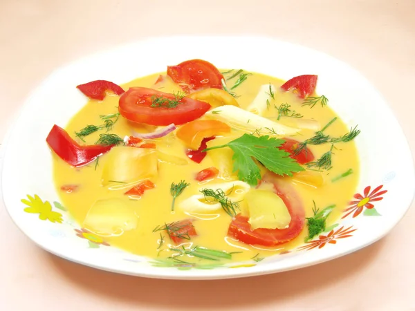 Sopa de legumes com tomate — Fotografia de Stock