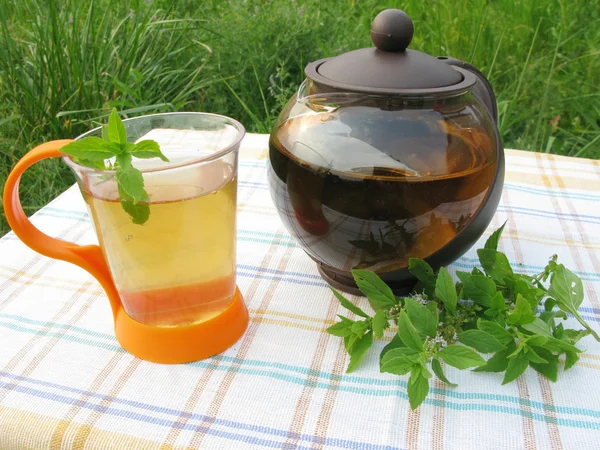 Piquenique de chá de hortelã de ervas na natureza — Fotografia de Stock
