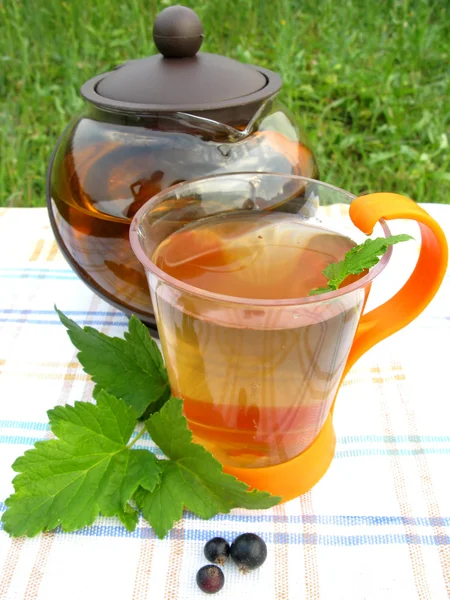 Frukt te med vinbär extrahera utomhus — Stockfoto