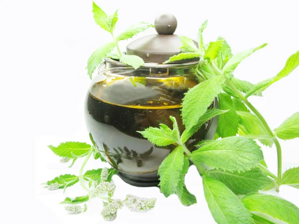 Ceai de mentă din plante în ceainic — Fotografie, imagine de stoc