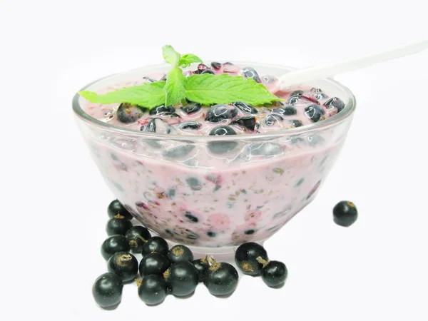 Bowl of yogurt with black currant — Stock Photo, Image