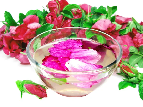 Spa bowl with rose petals — Stock Photo, Image