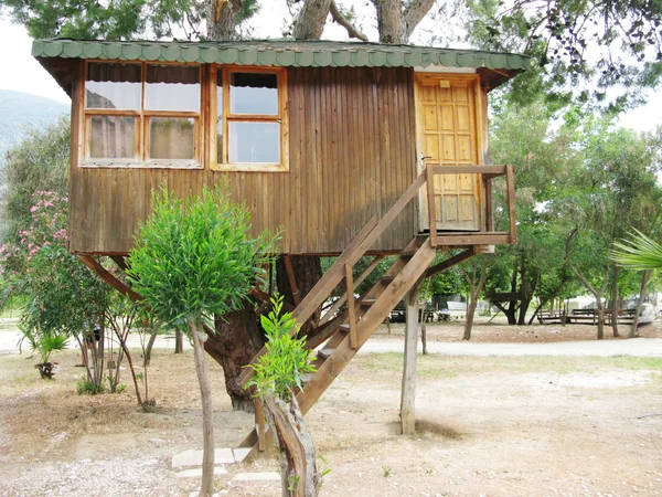 stock image House on tree