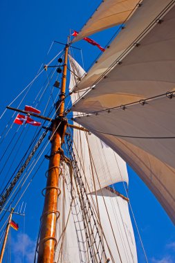 Sails of a tall sailing ship clipart