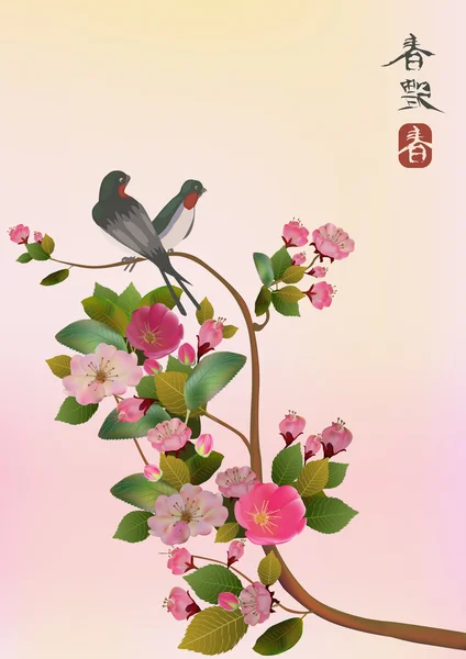 Sakura pták. — Stockový vektor