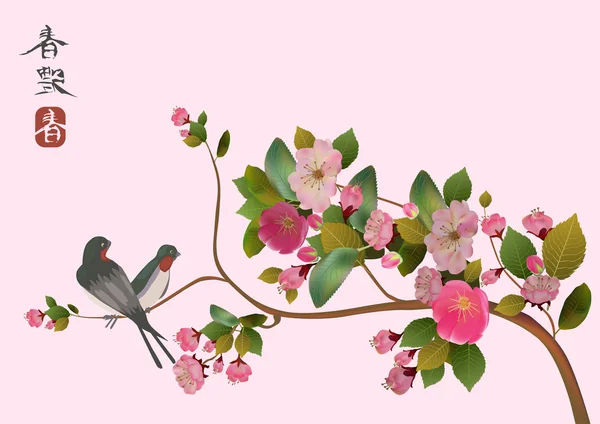 Sakura vogel. briefkaart. menu. — Stockvector