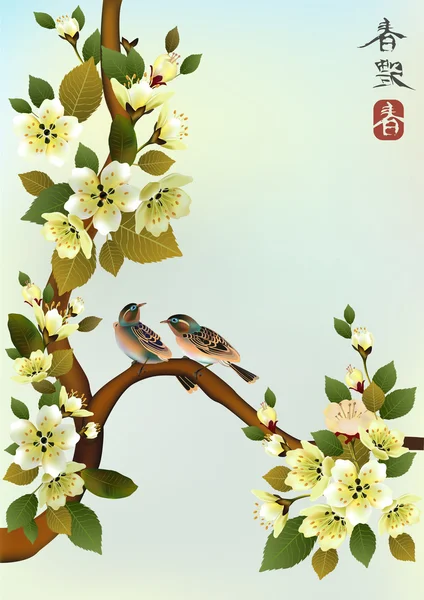 Sakura kuş. kartpostal. Menü. — Stok Vektör