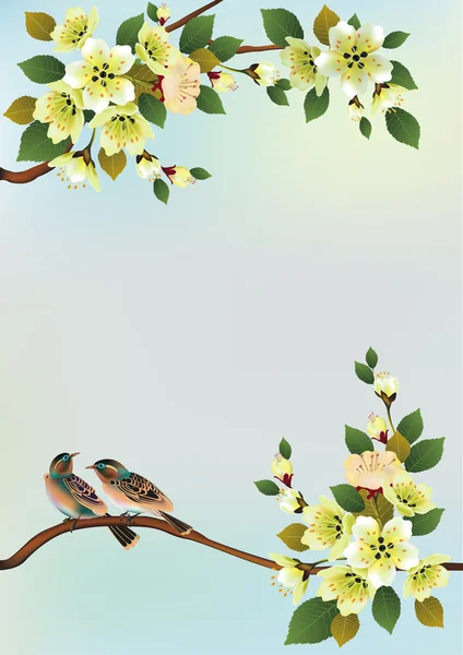 Птица Сакура. открытка. меню . — стоковый вектор