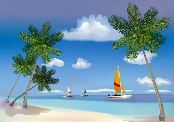 海、 游艇、 棕榈树. — 图库矢量图片