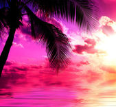 Free Stock photo of tropical sunset | Photoeverywhere