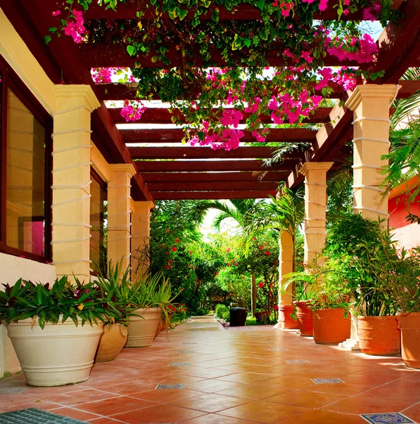 Ландшафтная терраса дома с цветами — стоковое фото