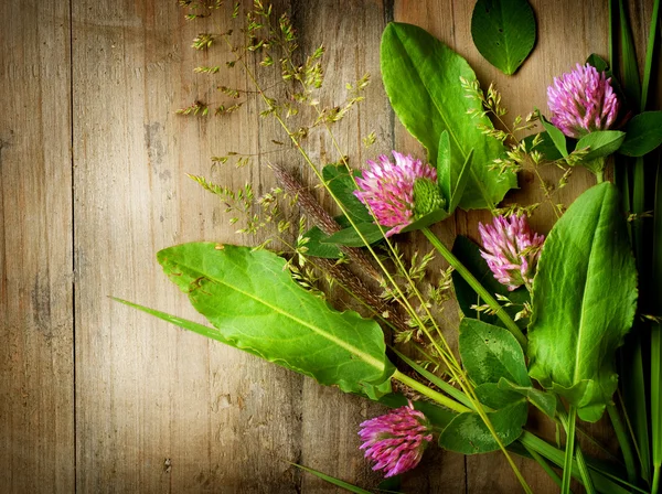 Hierbas sobre Madera. Medicina herbal. Fondo de hierbas — Foto de Stock