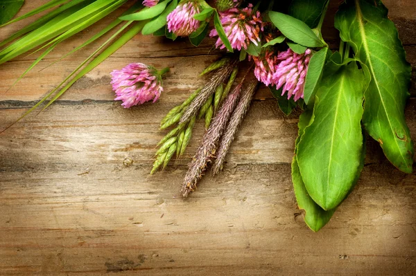 Kräuter über Holz. Kräutermedizin. pflanzlicher Hintergrund — Stockfoto