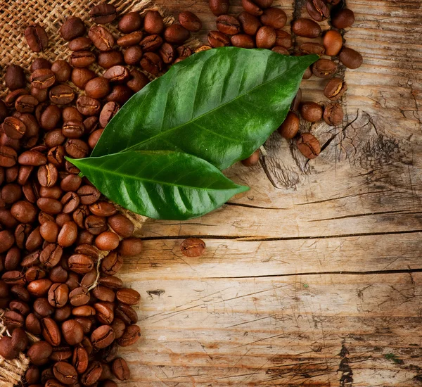 Progettazione del bordo del caffè. Fagioli e foglie su sfondo di legno — Foto Stock