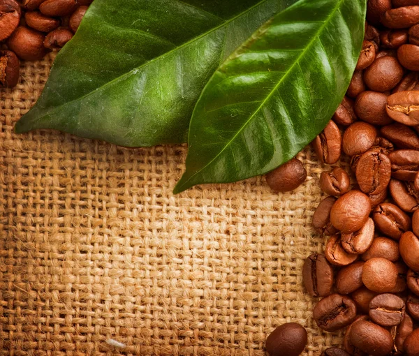 Koffie boordmotief. bonen en blad over hout achtergrond — Stockfoto