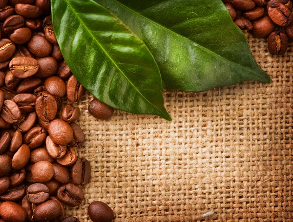 Kahve sınır tasarlamak. kahve çekirdekleri ve yaprakları — Stok fotoğraf