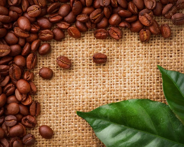Projeto da fronteira do café. Feijões e folhas de café — Fotografia de Stock