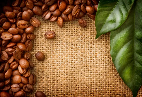 Kahve sınır tasarlamak. kahve çekirdekleri ve yaprakları — Stok fotoğraf