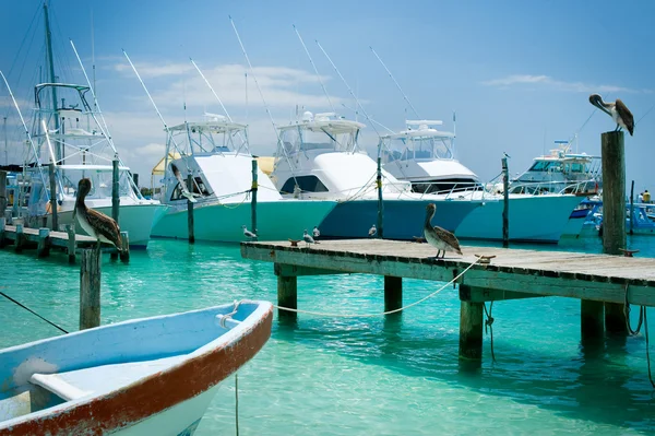 Isla mujeres wyspa molo. Meksyk, cancun — Zdjęcie stockowe