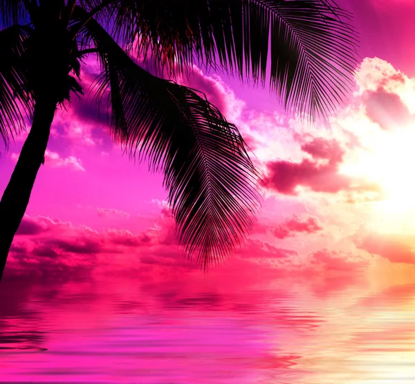 Παραλία ηλιοβασιλέματος — Φωτογραφία Αρχείου