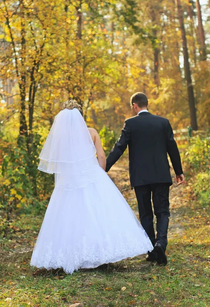 stock image Newlyweds walking in autumn forest