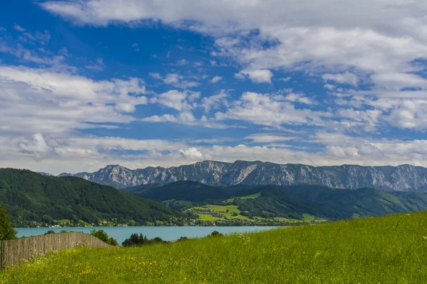 The Alps in summer — Stock Photo, Image