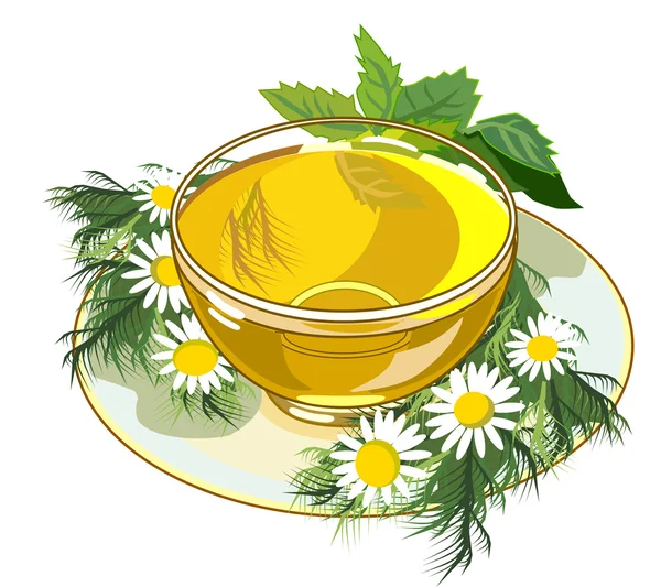 Gyönyörű csésze gyógynövény tea — Stock Vector