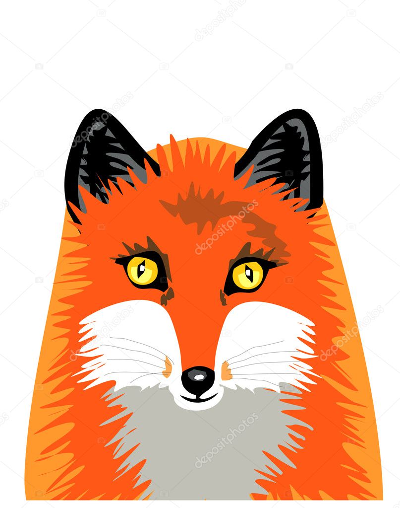 Vector isolated fox