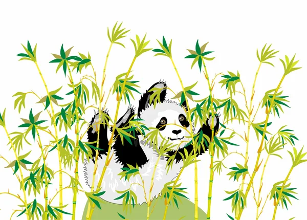 Bambu komik küçük panda — Stok Vektör