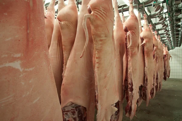 Metade de porco — Fotografia de Stock