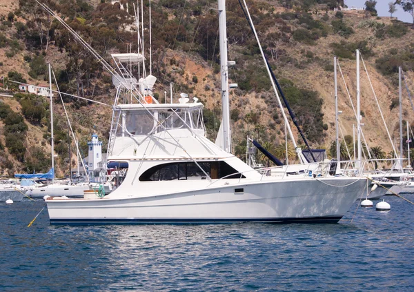 Amarré sportfisher yacht — Photo