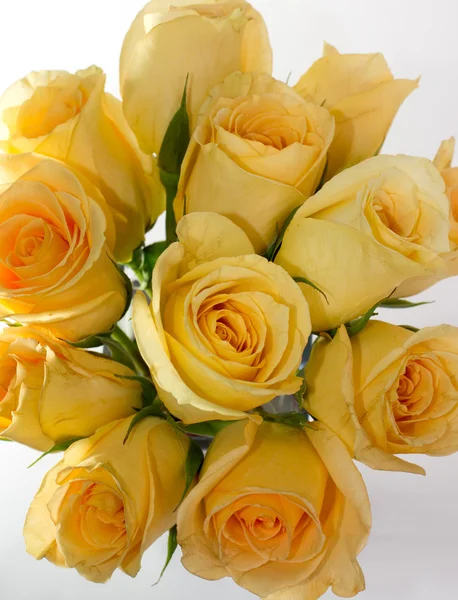 Sárga rózsák — Stock Fotó