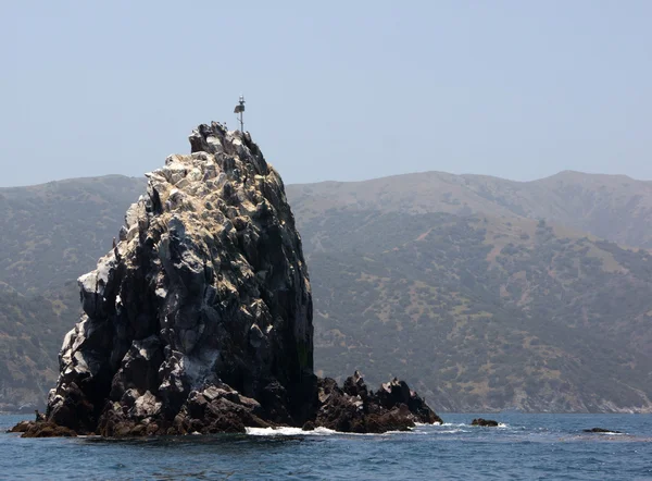 Seal Rock Two Harbors — Stock Photo, Image