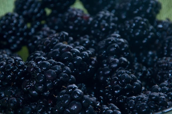 碗的黑莓 — 图库照片