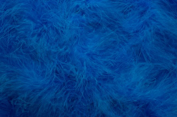 Blue Feather Background — Stock Photo, Image