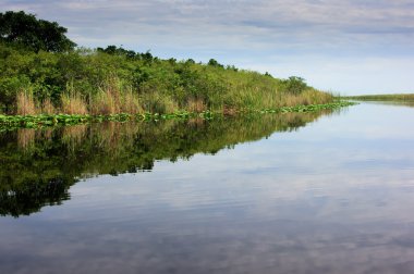 Florida Everglades