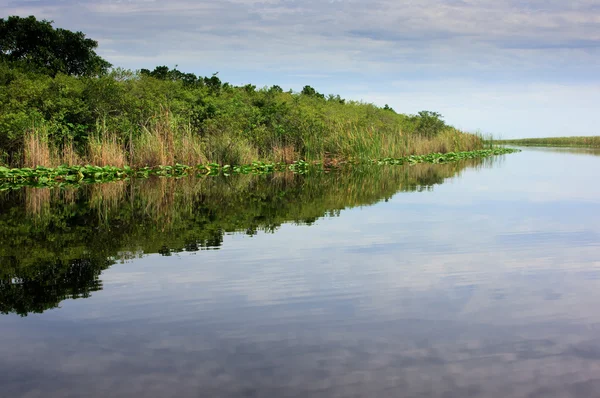 Everglades de Florida — Foto de Stock