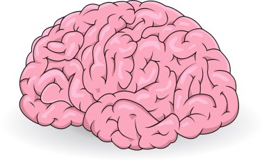 Human brain clipart