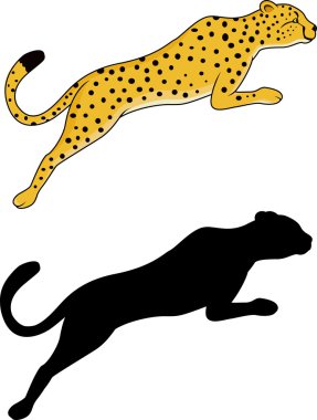 Tiger jumping clipart