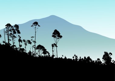 Tropical tree with mountain background clipart